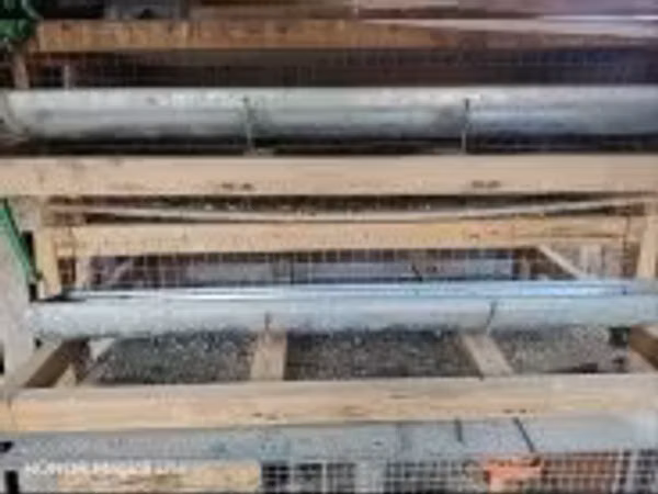 Quails