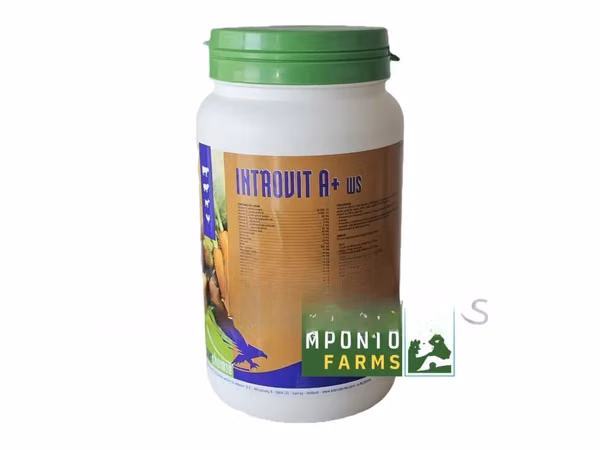 Introvit Water Soluble Powder