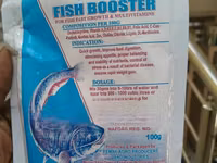 Fish Booster — photo 1