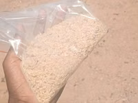 Soya Bean Meal ( Fresh Nutritonal Prepared Meal) — photo 3