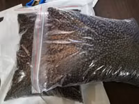 Cat Fish Feed Per Kg — photo 5
