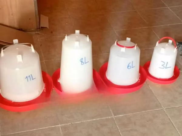 Plastic Drinkers and Feeders