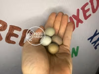Quails — Foto 1