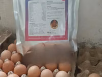 Poultry Eggbooster — фото 4