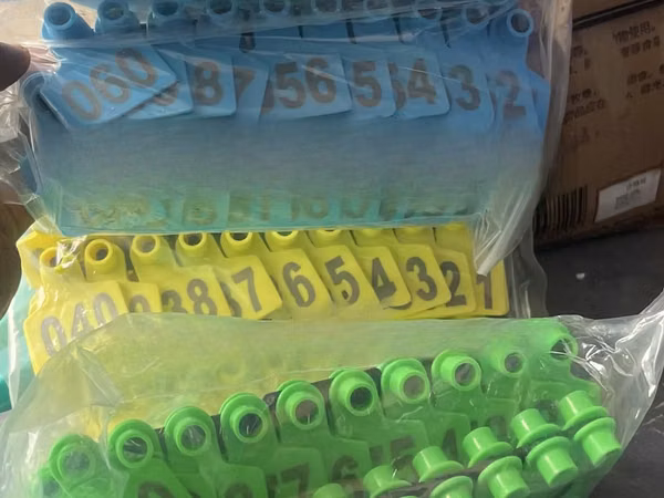 Ear Tags for Goats, Sheep, Cattle and Pigs