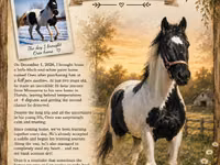 حصان, American paint horse — الصورة 4