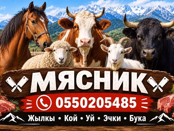 Услуги мясника/касатчы для забоя и разделки скота на выезде. Работаем
