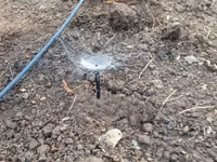 Microjet Sprinkler — الصورة 5