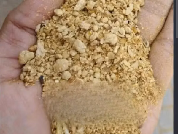 Soya Bean Meal ( Fresh Nutritonal Prepared Meal)