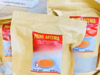 Artemia Fish Feed — photo 3
