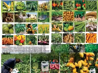 Organic Fertilizer Super Gro — photo 2