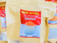 Artemia Fish Feed — photo 4