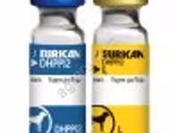 ЭУРИКАН DHPPi+L (EURICAN) Вакцина — photo 2