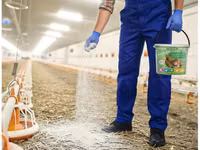 Poultry Disinfectant | Chicken House Disinfectant | Farm Biosecurity K — 照片 4