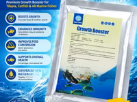 Growth Booster For Catfish /Tilapia Farming — Foto 1