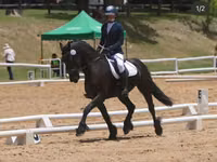 Caballo, Friesian — foto 1