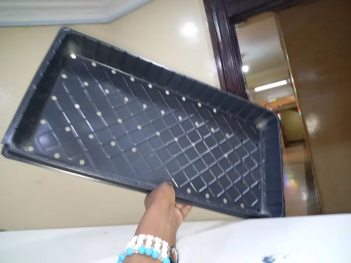 Greenhouse Seedling Trays With Holes