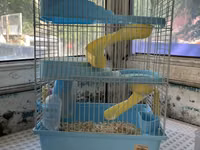 Hamster və balaca gəmiricilər üçün qəfəs - Rəng: açıq mavi plastik — फ़ोटो 2