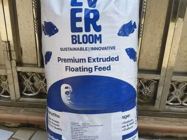 Ever Bloom Premium Floating Fish Feed | Fish Feed Ghana