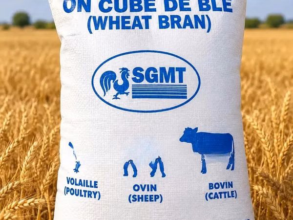 Wheatbran for Sale in Ashaiman at 75