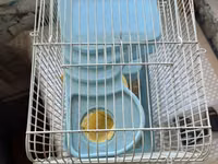 Hamster və balaca gəmiricilər üçün qəfəs - Rəng: açıq mavi plastik — फ़ोटो 3