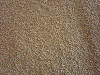 Porumb — photo 1