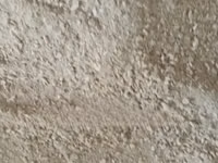 Oyster Shells — photo 1