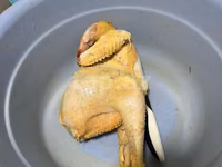 Chickens — फ़ोटो 7
