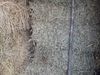 Vând nutreț pentru animale . — photo 2