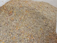 Corm — photo 1