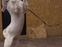 बकरा, Gulabi goats — फ़ोटो 3
