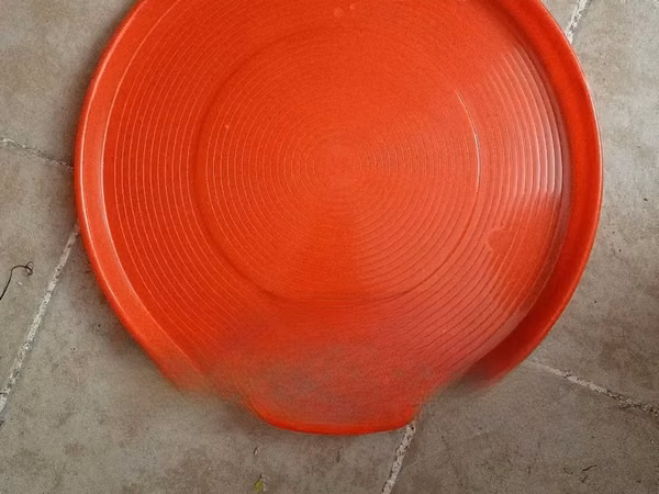 Chicks Trays