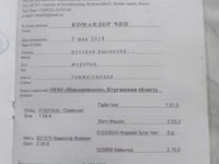Horse (M), Russian Trotter — photo 3