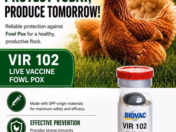 Fowl Pox Vaccine