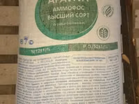 Rassiskiy Ammafos bor — photo 2