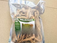 Mondia Whitei Root, 100g/ 60gh, Wild Harvest, 100% Natural — photo 2
