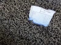 Vind granule la iepuri — 照片 2