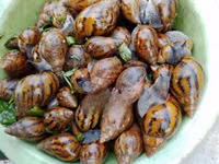 Snail Feed Supplement(10kg) — 照片 5
