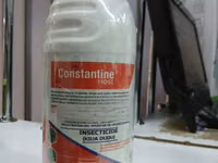 Constantine 110sc Insecticide 1l — الصورة 3