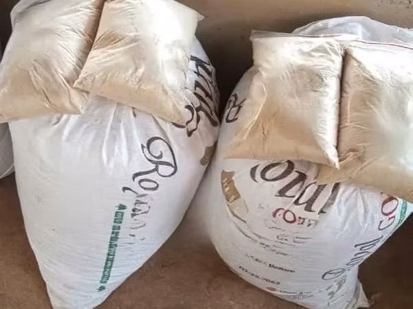 Snail Formulated Feed