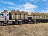 Eragrostis bales - Round / Big (For Sale) — الصورة 4