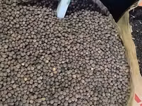 Vind hrană pentru porumbei — 照片 5