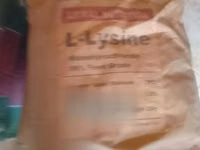 L Lysine 25kg — photo 2