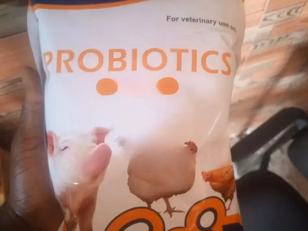 Probiotics For Livestock