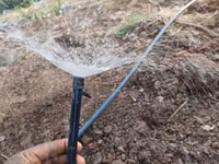 Microjet Sprinkler — الصورة 2
