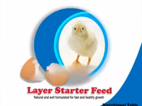 Poultry Feed for 1-4 Weeks Old Chicks — الصورة 1
