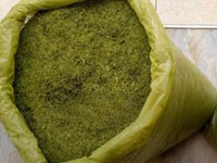 Animal Feed - Moringa Chaff — photo 1