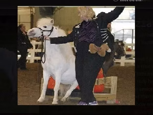 母马, Miniature horse