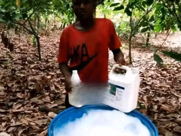 Organic Liquid Fertilizer for All Kinds of Crops(Super Gro).