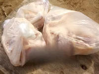 Already Dressed Chicken — फ़ोटो 1